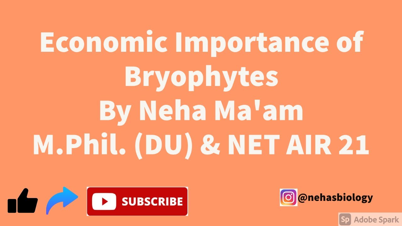 Economic Importance of Bryophytes