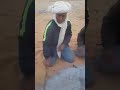 الشاعر بلخير بن ساري 