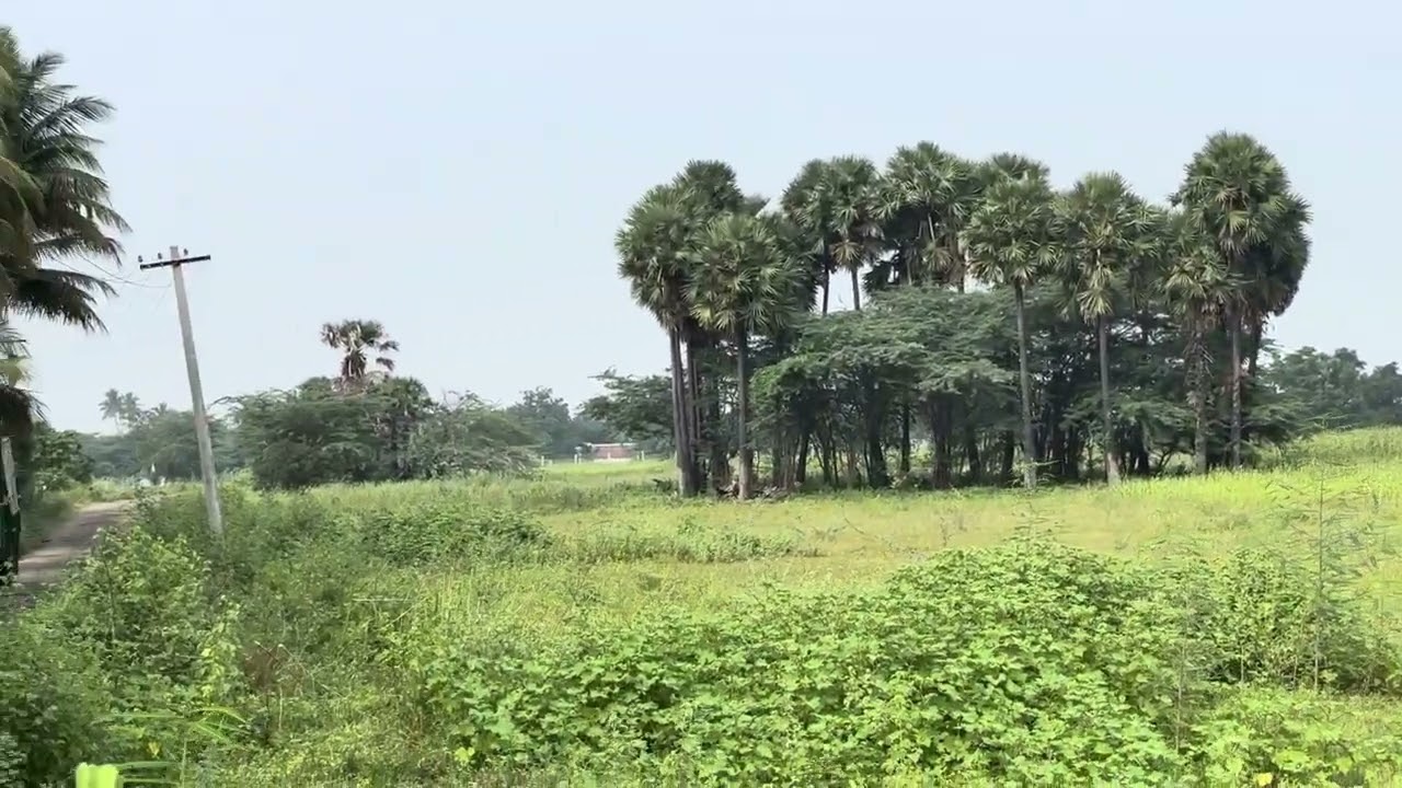 6379170190 திண்டுக்கல் to திருச்சி செல்லும் வழியில் வடமதுரை அருகில் 2.90 ஏக்கர் விற்பனைக்கு