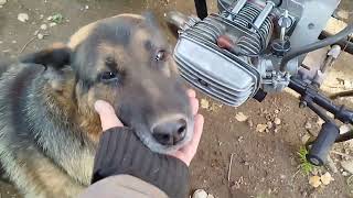 видео: Купил новый мотор на Днепр,есть большая проблема. картинка: Купил новый мотор на Днепр,есть большая проблема.