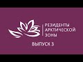 Проект «Резиденты арктической зоны» - выпуск 3 «Малый бизнес»