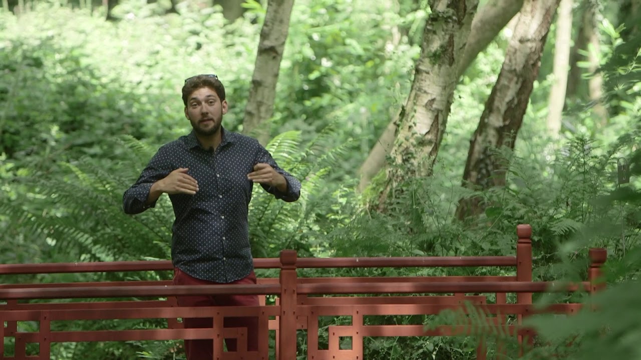 Jardins de Normandie : le parc et jardins de Carneville (50)