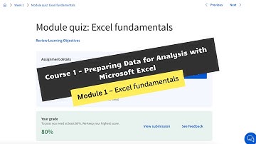 preparing data for analysis with microsoft excel week 1 coursera answers || theanswershome