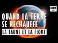  quand la terre se rchauffe  la faune et la flore  documentaire environnement  arte 2022