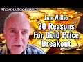 Jim willie 20 reasons for gold price breakout