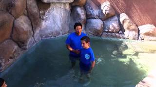 Alex's baptism