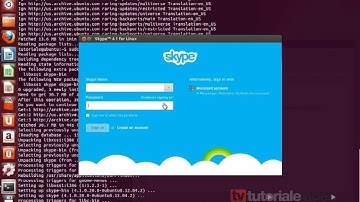 Ubuntu 13.04 instalare skype 4.1