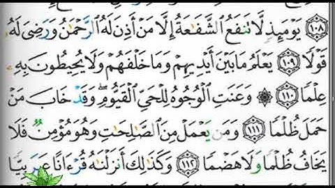 مصحف التجويد الصفحة 319 إبراهيم الأخضر