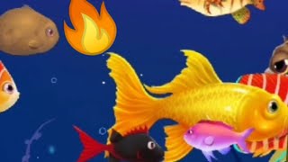 تطبيق Clipclaps | لعبة حوض الأسماك لجمع المال 🔥 Aquarium, Fish screenshot 2