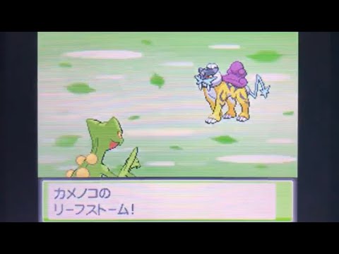 ポケモン Hgss バトルタワー100戦目 ジュカイン無双 Youtube