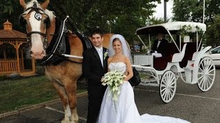 Greek Wedding of George and Elina Gavras