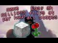 THE NEW BEST MONEY MAKING METHOD MAKES 20 MILLION COINS PER HOUR | Hypixel Skyblock