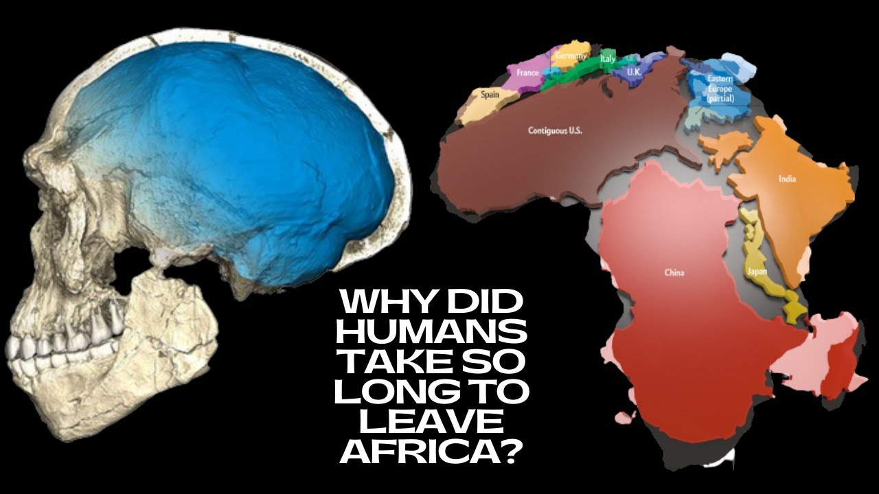Why Did Modern Humans Take So Long To Leave Africa?