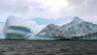Schved - Antarctica