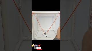 Cable-Driven Spacecraft Motion Simulator | Science Project