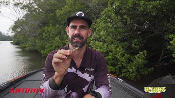 How To Catch Bream on Lures with Tristan Taylor