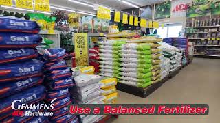 Get Going with Gemmen's! | Keeping a Healthy, Vibrant Lawn with Gemmen's Ace Hardware