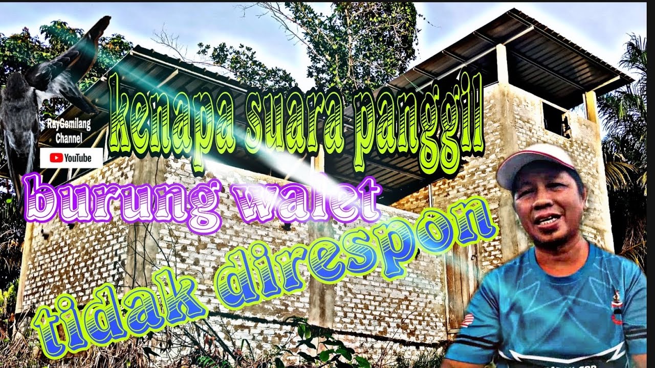 Kenapa Suara Panggil Burung Walet Tidak Terlalu Merespon_tidak direspon.