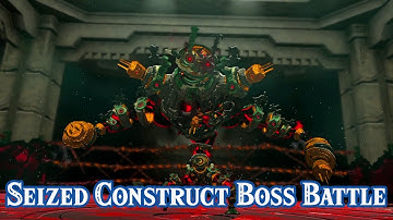 Seized Construct Main Story Boss Battle! The Legend of Zelda: Tears of the Kingdom Gameplay!