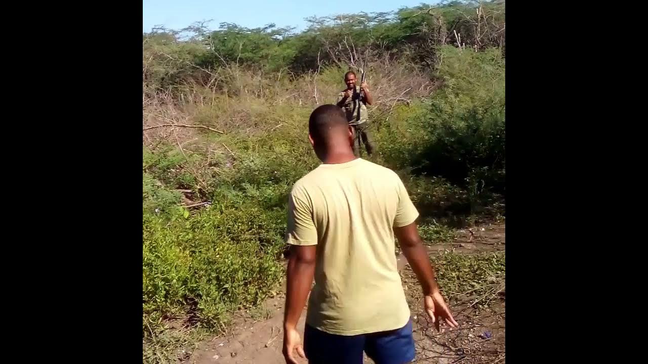 Bird hunting in Jamaica (Portland Cottage). YouTube