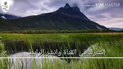 الله ولي الذين آمنوا ] تلاوه خاشعه جدا تريح البال للشيخ محمد اللحيدان