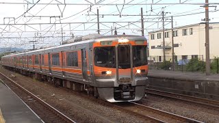 JR東海 313系8000番台B204編成+B202編成 春日井駅
