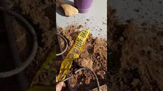 Pump no start troubleshooting tip