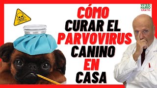 Como CURAR a un PERRO de PARVOVIRUS CANINO en Casa❣TRATAMIENTO CON REMEDIOS CASEROS y MEDICAMENTO