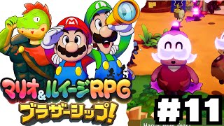 兄弟アクションが癖になる！伝説のRPGの新作やるぞ #10【川鰐グラムのマリオ＆ルイージRPG ブラザーシップ実況】
