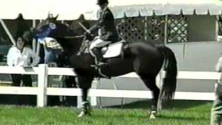 Pascal Attitash 2000 3