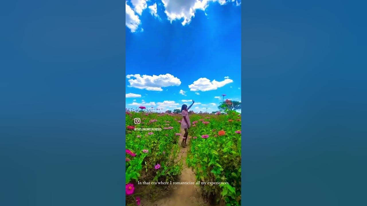  grow getters strawberry farm thingstodo travelnamibia namibia 