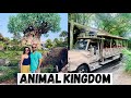 A Day at Animal Kingdom, Disney World | Kilimanjaro Safari, Pandora - Avatar Ride | Orlando, Florida