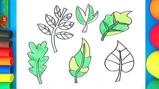 Learning the color Green - Leaves coloring page for kids!