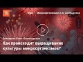 Культивирование микробов — Елизавета Бонч-Осмоловская