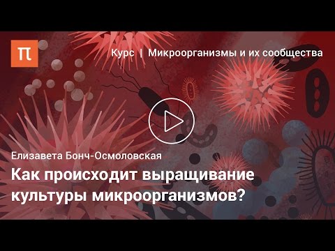 Видео: Идентификация новых низкомолекулярных ингибиторов для растворенного носителя SGLT1 с использованием протеохимического моделирования