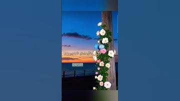 #تلاوة_خاشعة #تلاوة_هادئة #قرآن #راحة_نفسية