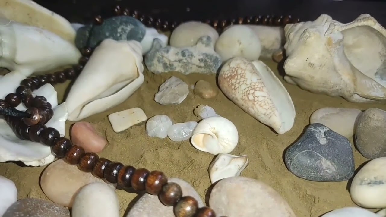 برج العذراء ♍ بعد الهدوء عاصفة بشاير رايحه على بابك والخذلان اخيرا بتبدا من جديد #القارئه_ام_احمد