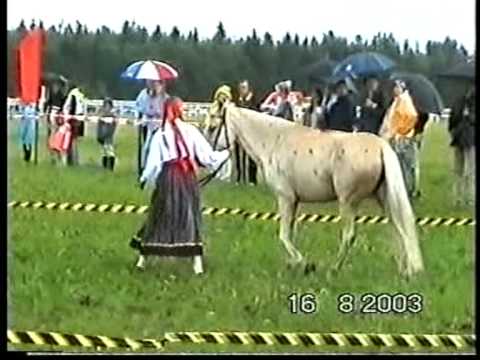 Video: Hobuse Kummitus Jaroslavli Tsirkuses - Alternatiivne Vaade