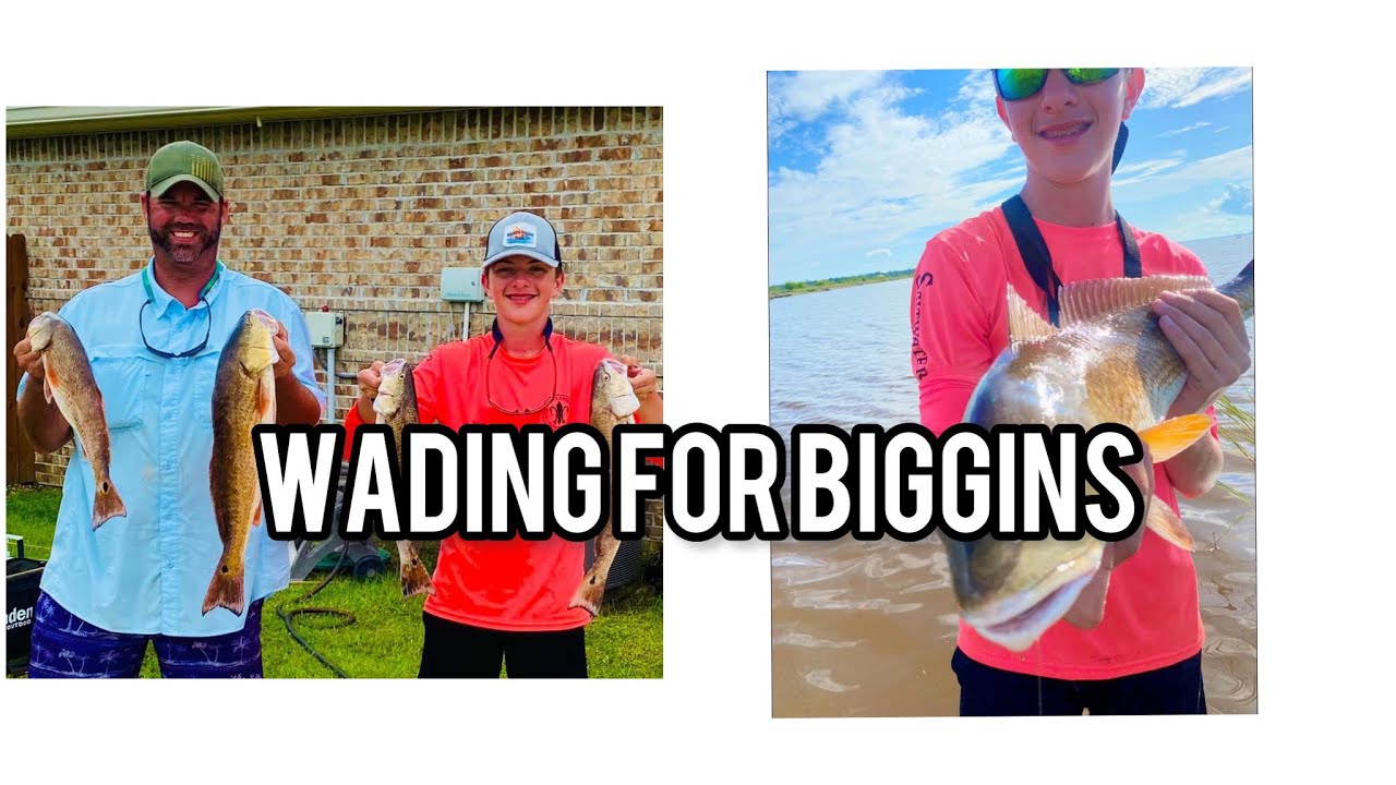 Wade fishing the Mississippi Gulf coast for (white trout, reds and more