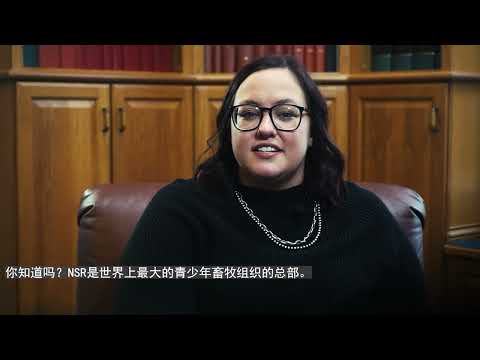 What Is NSR And ABG Chinese