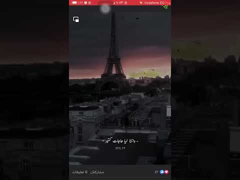 مش مجامله عشان بحبك