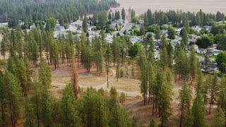 Wildfire Resiliency