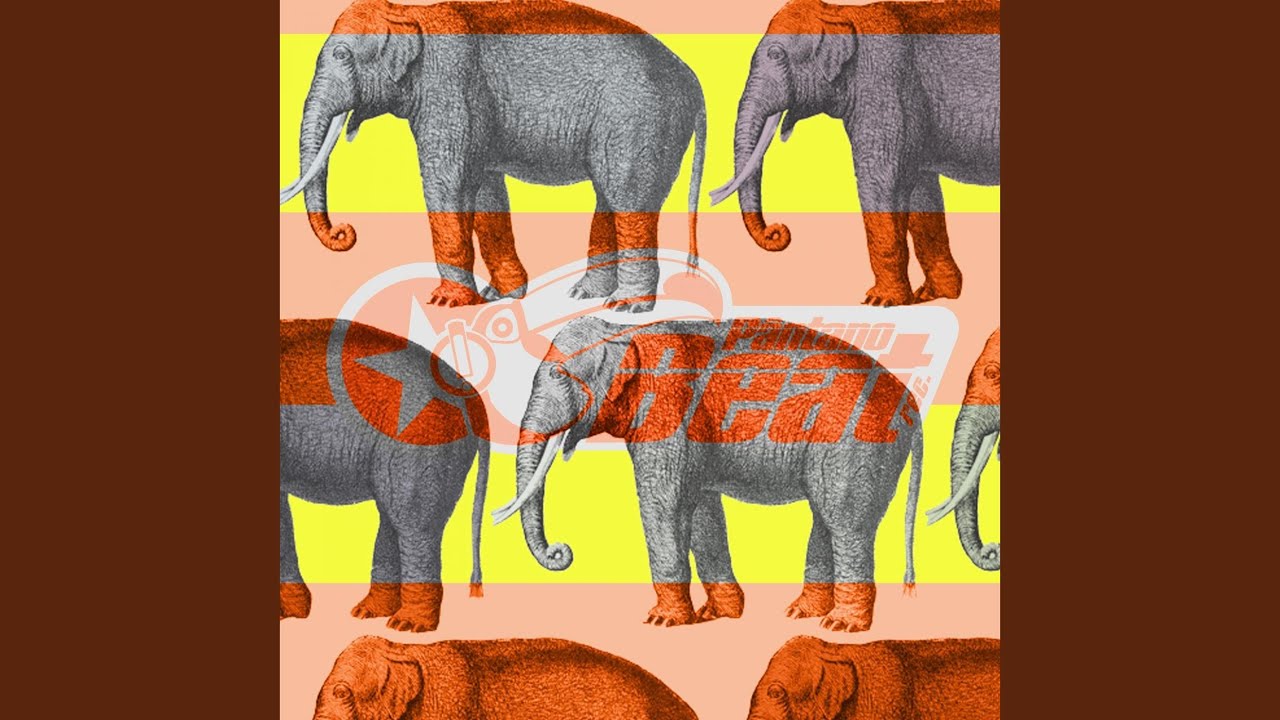 Castle of Cards YouTube