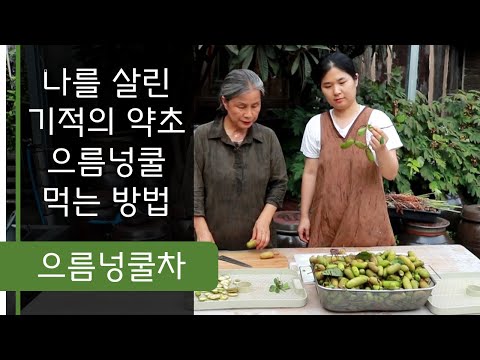 나를 살린 기적의 약초 으름넝쿨, 으름열매, 으름 효능, 으름열매차, 으름덩굴, 한국의 바나나, 최금옥, 슬로시티약초밥상 -  Youtube