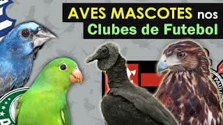 Aves Mascotes Dos Times Brasileiros Aves Símbolos Corinthians, Palmeiras, Flamengo E Santos
