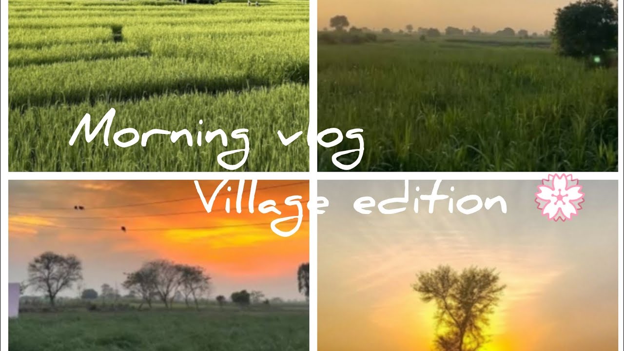 Morning vlog village edition 💮 winter ☃️ place -sikkim 🌾