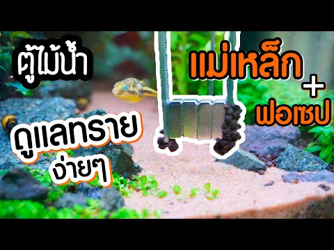 วิธีทำความสะอาดทรายในตู้ไม้น้ำ แยกดินกับทรายง่ายนิดเดียว | มาแรงมด MarangMod Channel