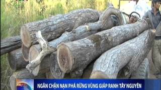 ThoiSuVTV1 16h 20151213 1600 GLAI