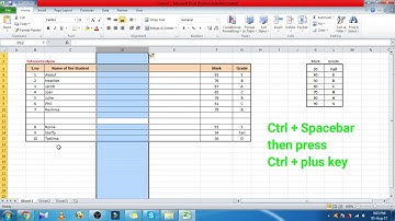 How to insert, delete rows and columns without mouse (Tutorial)