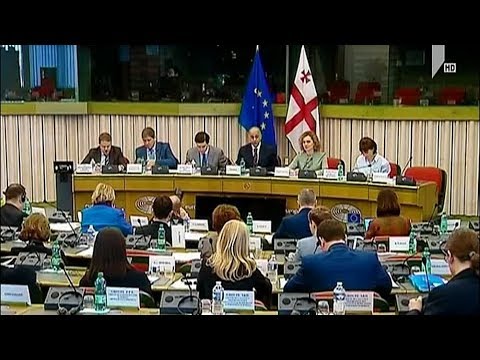 ევროკავშირი-საქართველოს ასოცირების კომიტეტი